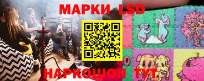 СК Дубна