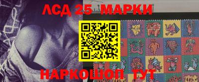 СК Дубна