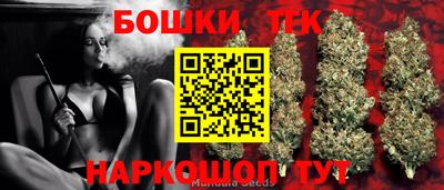 СК Дубна