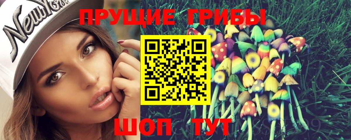 цены наркотик  Псилоцибиновые грибы мицелий  Вход с VPN  Минеральные Воды 